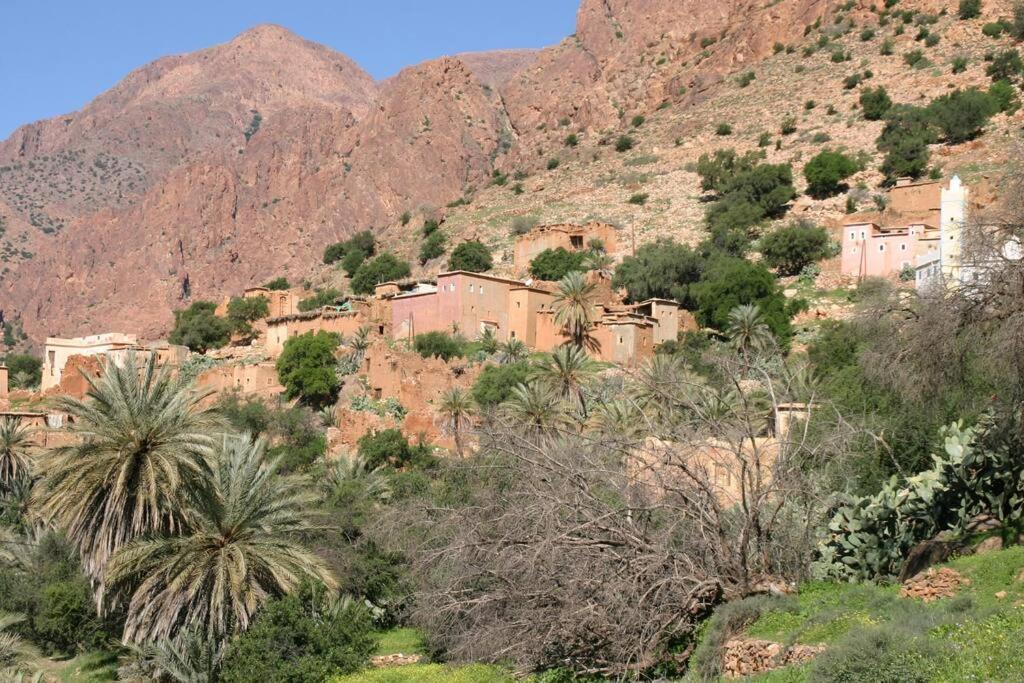 Riad Nadara, Superbe Riad Au Coeur De La Medina! Marrakesh Bagian luar foto