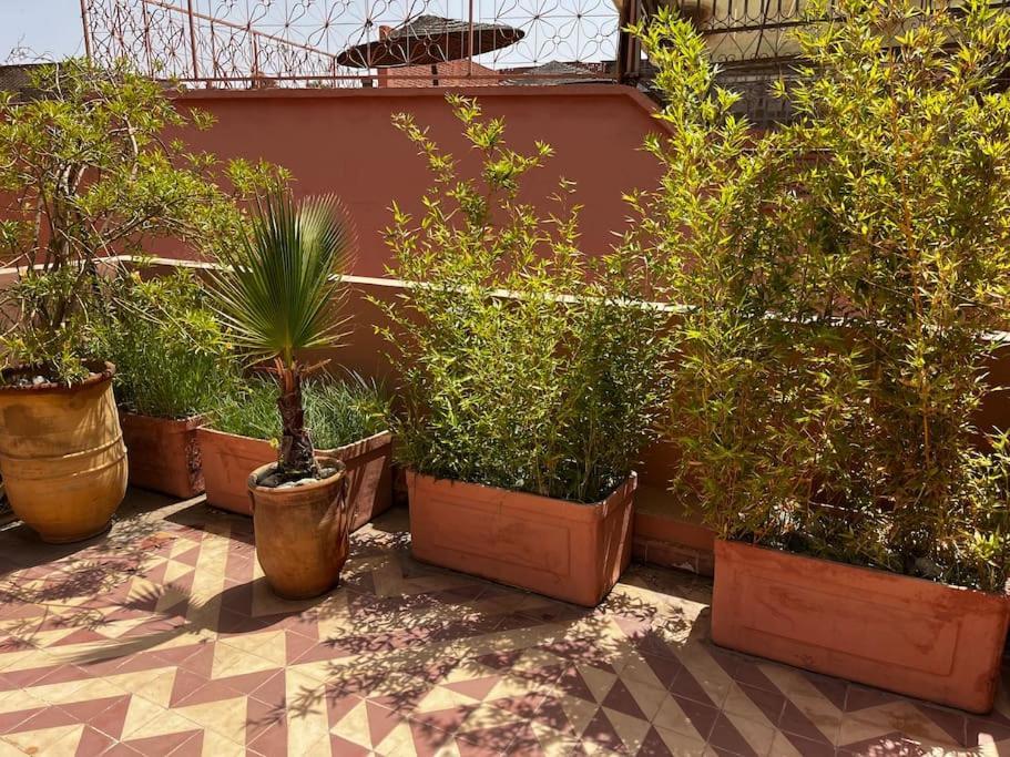Riad Nadara, Superbe Riad Au Coeur De La Medina! Marrakesh Bagian luar foto